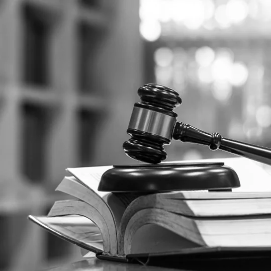 Profesional de Reforma judicial en Educación Continua Humanitas