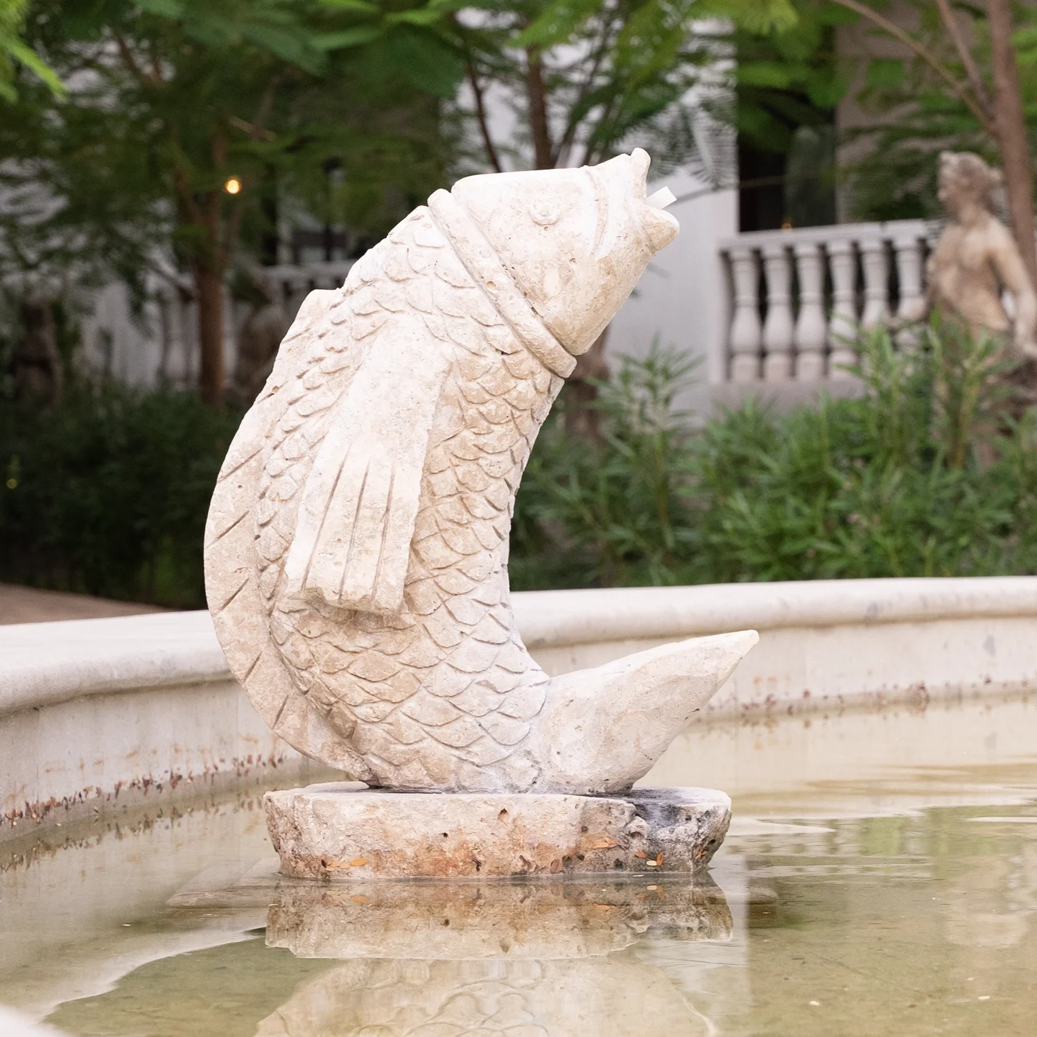 Instalaciones de Campus Magno Mérida