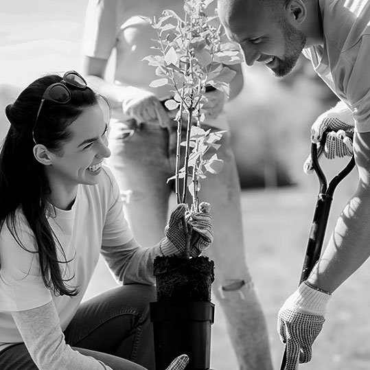 Hombre y mujer plantando árbol