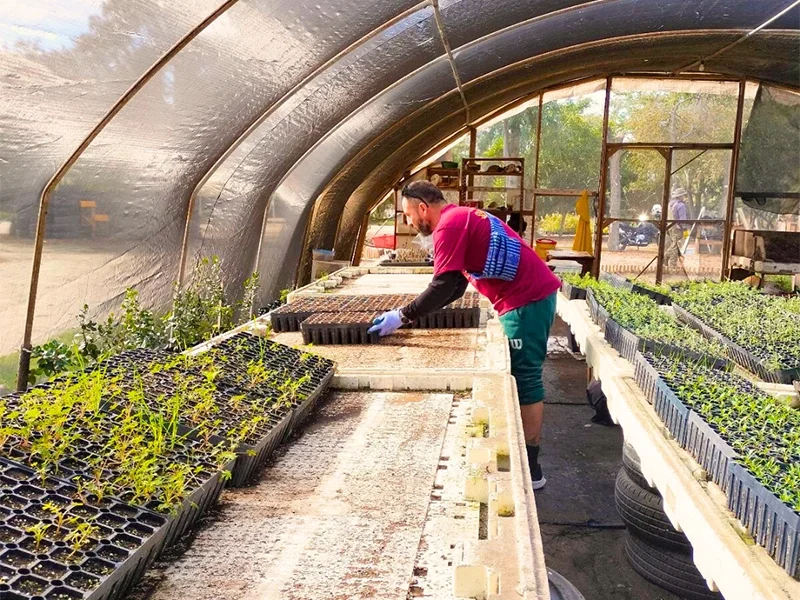 Joven en vivero, quien es parte del programa de responsabilidad social Humanitas